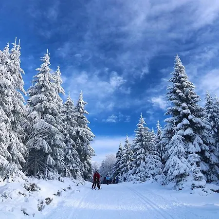 Les Horizon مكان تخييم *